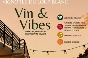VIN ET VIBES