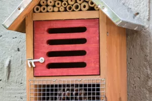 Lou Gabissou : Atelier autour de la Nature