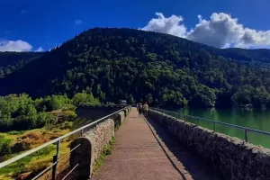 Escape game au Lac d'Alfeld