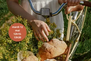 Antran et bords de Vienne - balade vélo-sandwich