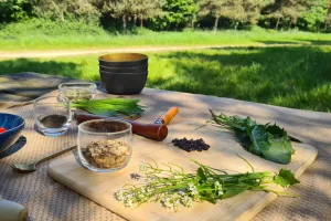 Atelier cuisine des plantes sauvage