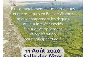 Conférence Marées vertes, eaux vertes, les algues à Pénestin : causes et conséquences