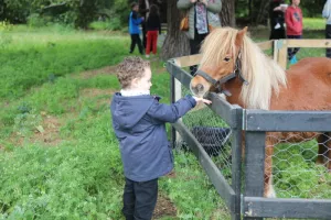 Ferme pédagogique mobile – Bel Air