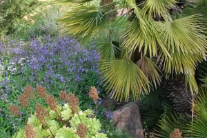 Atelier de rempotage de plantes aromatiques