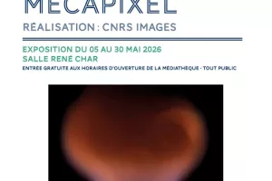 Exposition - MÉCAPIXEL