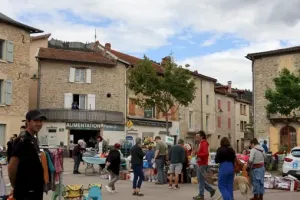 Vide grenier école Marie Rouanet