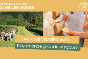Balade vigneronne : Le Dôme