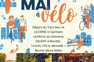 Balade familiale à vélo dans les vignes + dégustation 63
