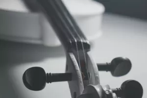 Violon et  l’alto