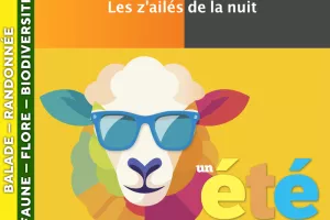 CÉVENNES - Les z'ailés de la nuit