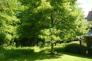 Ouverture du jardin écologique du CAUE 95 le samedi 6 juin de 10h à 16h