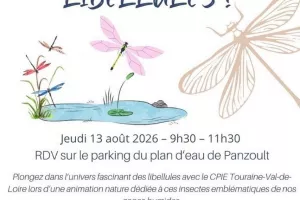 A la découverte des libellules