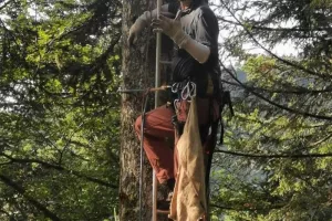 Conférence perchée