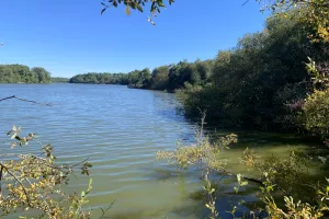 Les visites guidées de la Réserve Naturelle de l'Etang Noir