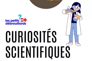 Curiosités scientifiques