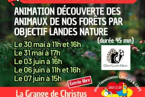 Les animaux de la forêt