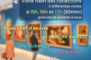 Visites flash > Musée d'art et d'histoire