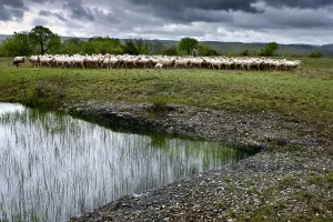 Regards croisés sur le paysage et la biodiversité du Mont Saint-Cyr