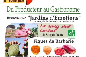 Du producteur au gastronome