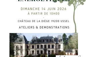 10ème Journée des Arts Enérgétiques