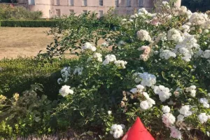 Donnez votre sang pendant votre visite du château !