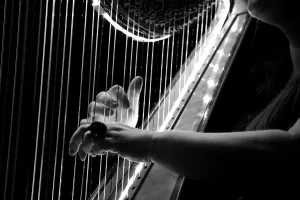 Concert - Harpes en accords croisés