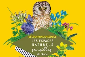 ENS - CHAUVE-SOURIS ET CIEL ÉTOILÉ : COCKTAIL NOCTURNE DE RÊVE !