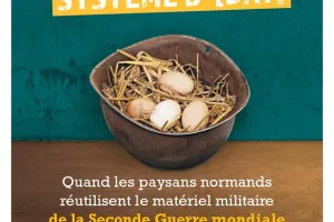 Pierres en lumières ! Système D