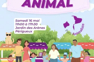 Le Village Animal
