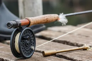 Pêche au coup, feeder et carpe sur l'étang de la Pouge