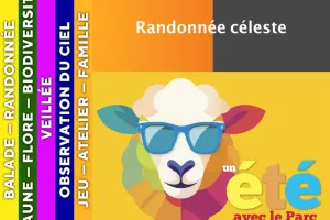 CÉVENNES - Randonnée céleste