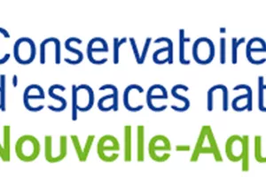 Animation nature : Partez à la recherche des libellules