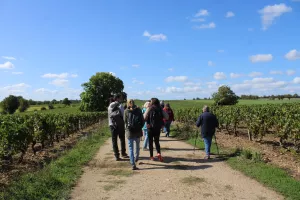 Balade-dégustation "It's wine time" dans les vignes