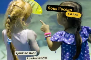 Stage sous l'océan
