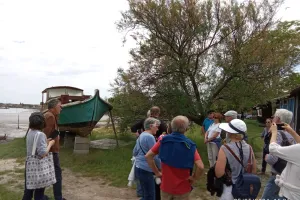 Visite Guidée du Lapin Blanc