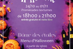 Nuit des lumières  - Halloween à Chouzy-sur-Cisse