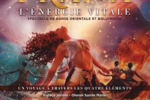 Spectacle de danse orientale et Bollywood