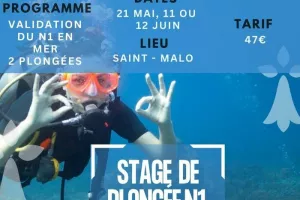 Sorties mer en plongée sous-marine