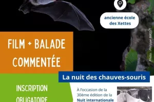 La nuit des chauves-souris
