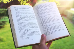 D'un jardin à un autre, lecture sur l'Orientalisme