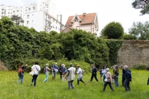Balade « Pister l’animal domestique dans l’histoire de la Cité »