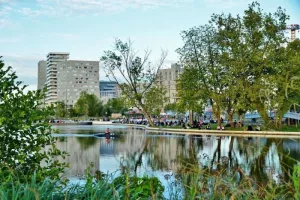 Animations festives et ateliers créatifs à l'occasion du ciné plein air