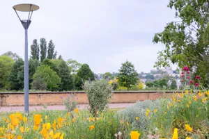 Visite : Parc de  Gerland