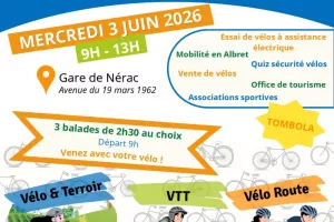 Journée mondiale de la bicyclette.
