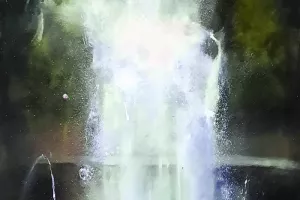 Versailles en majesté
