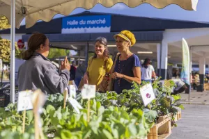 Le stand "tourisme & loisirs" Coteaux Béarn Madiran s’invite au marché !