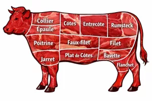 Les Essentielles