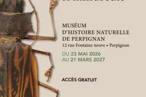 Exposition temporaire: Insectes,un peuple pas si minuscule