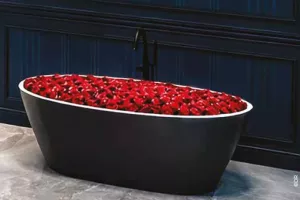 Théâtre : "Les Bonnes" par la Comédie-Française