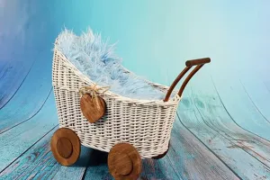 Vide poussette/greniers